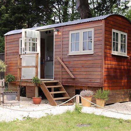 Cobo Cottage Chichester Exterior foto
